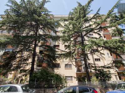 ...abeti e pini che fanno pendant con i tenui colori dei palazzi